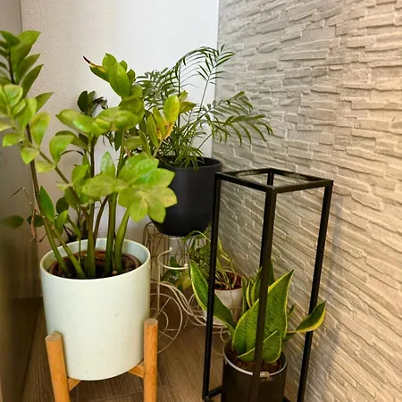 Baco Apartamento Podstrana