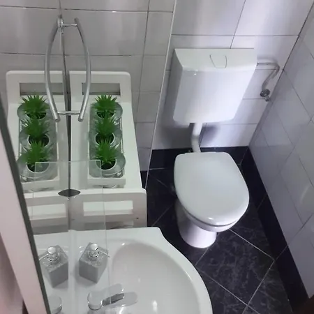 Baćo *