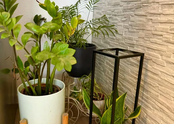 Baco Apartamento Podstrana